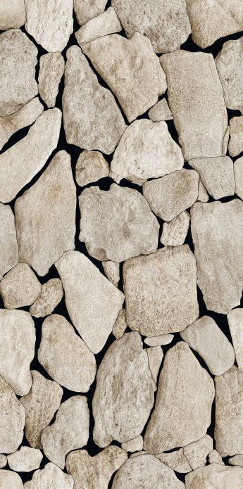 Carrelage Black Paradise 60x120 cm – Élégance Sombre et Sophistiquée