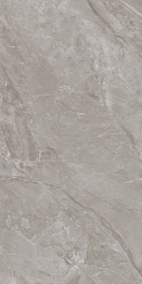 Carrelage Dallas Gris 60x120 cm – Élégance Urbaine et Polyvalence Moderne