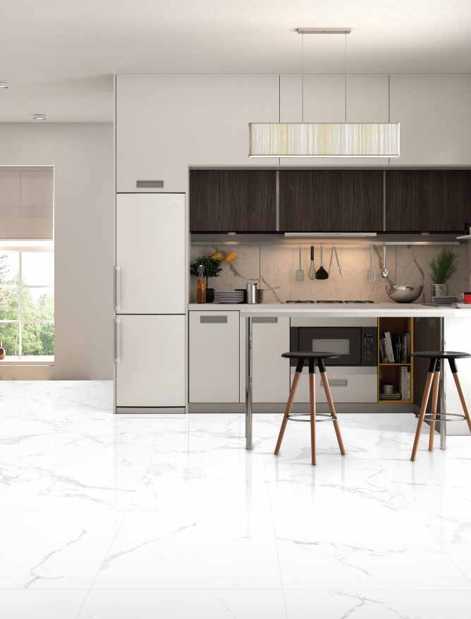 Carrelage Albatros 60x120 cm – Raffinement et Élégance Naturelle