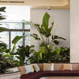 Carrelage effet béton beige brillant -Béton Ivoire - 60x120cm
