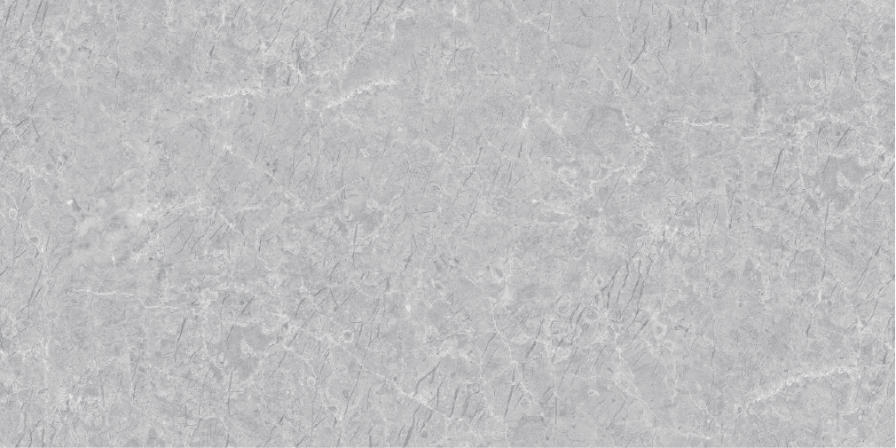 Carrelage effet marbre gris brillant - Bruxelles Blanc - 60x120cm