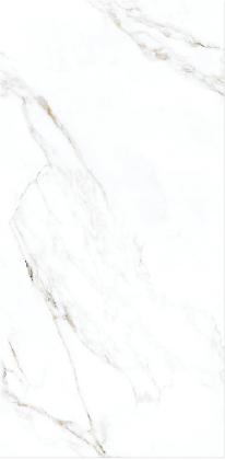 Carrelage effet marbre mat - Caracala Heritage Blanc - 60x120cm