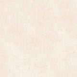 Carrelage effet marbre beige brillant - Crème Ivoire - 60x60cm