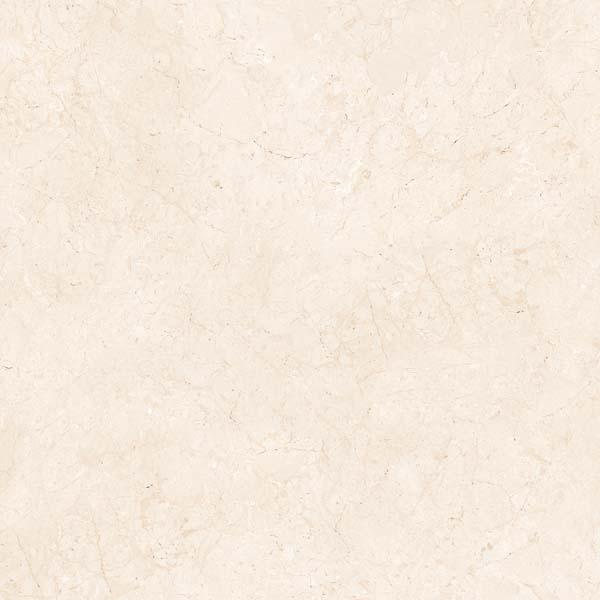 Carrelage effet marbre beige brillant - Crème Ivoire - 60x60cm