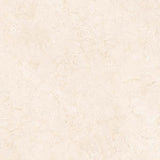 Carrelage effet marbre beige brillant - Crème Ivoire - 60x60cm
