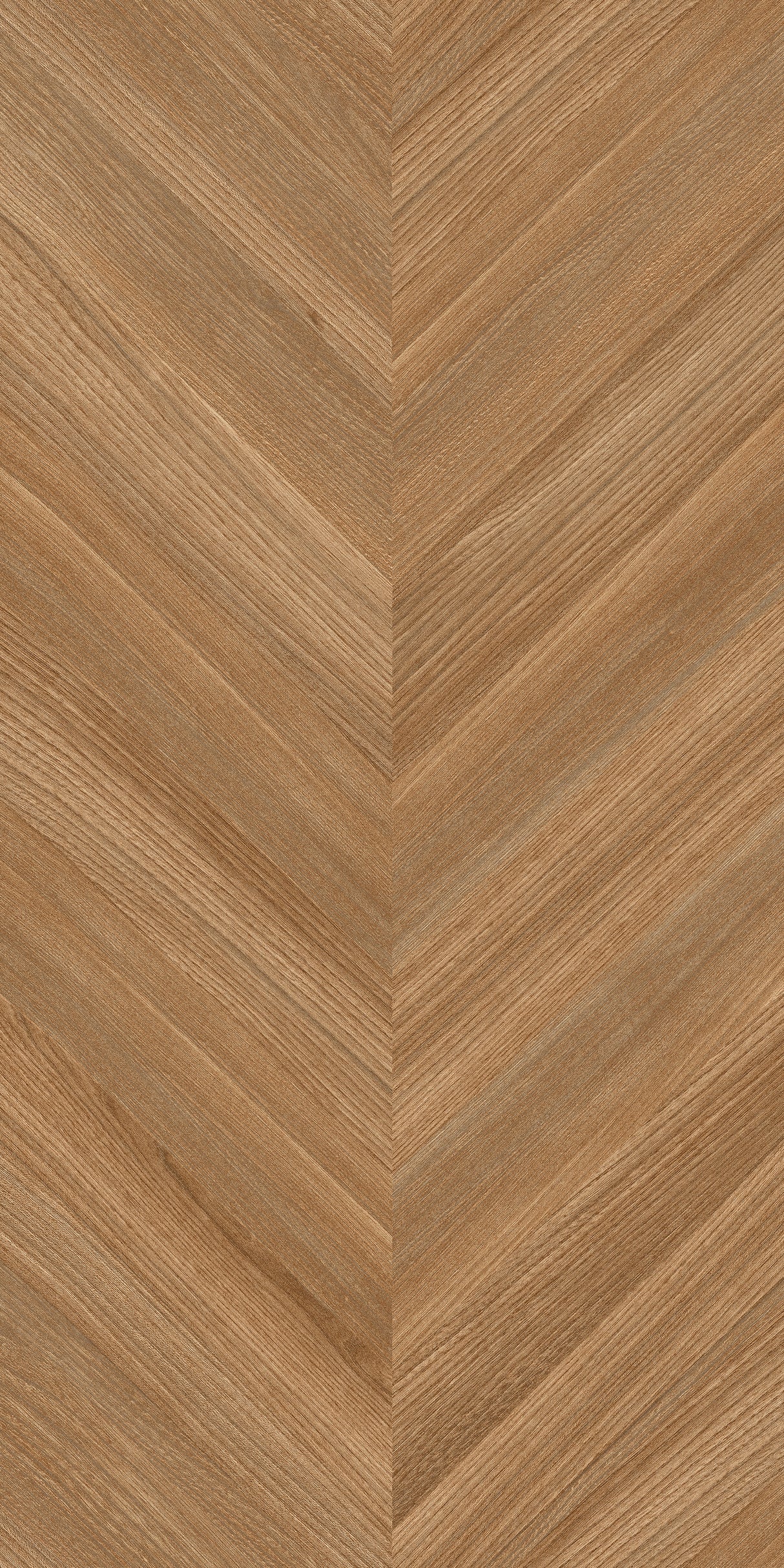 Carrelage Desert Dune Preview 60x120 cm – Une Invitation à l’Évasion