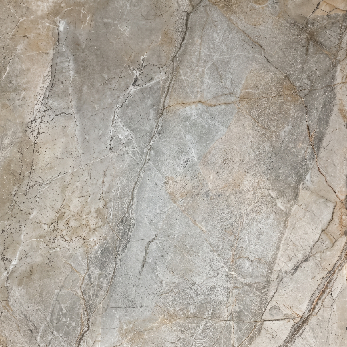 Carrelage effet marbre brillant - Ebersviller - 120x120cm
