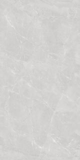 Carrelage effet marbre gris mat - Harmonie Gris - 60x120cm
