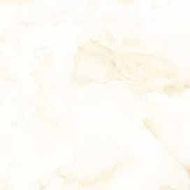 Carrelage Arbecato Beige 100x100 cm – Raffinement Naturel et Grandeur