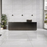 Carrelage effet marbre brillant - Marmi Armani Blanco - 60x120cm