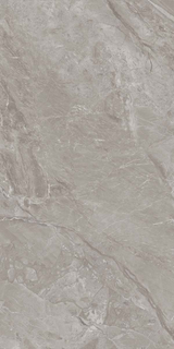 Carrelage Dallas Gris 60x120 cm – Élégance Urbaine et Polyvalence Moderne