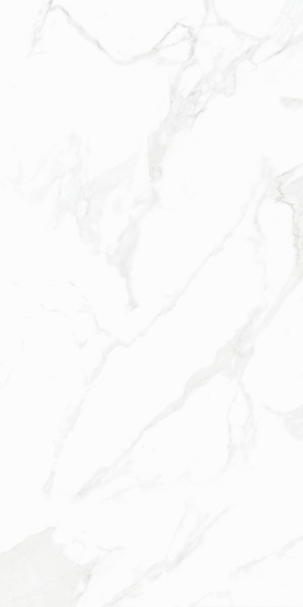 Carrelage Albatros 60x120 cm – Raffinement et Élégance Naturelle