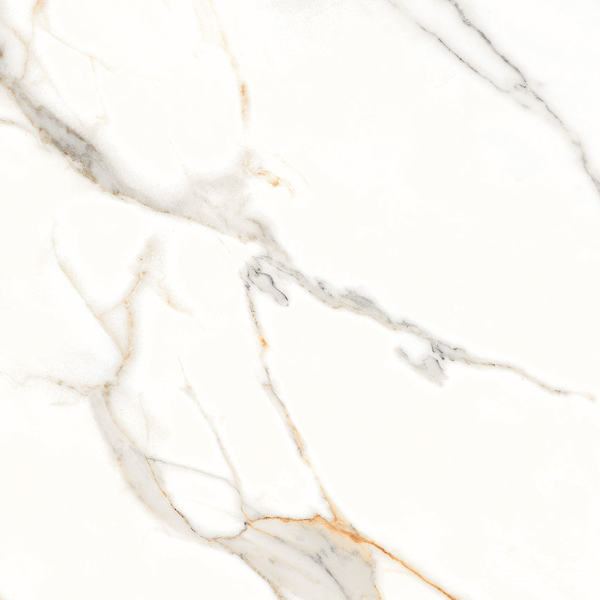Carrelage effet marbre brillant - Royal Carara - 100x100cm