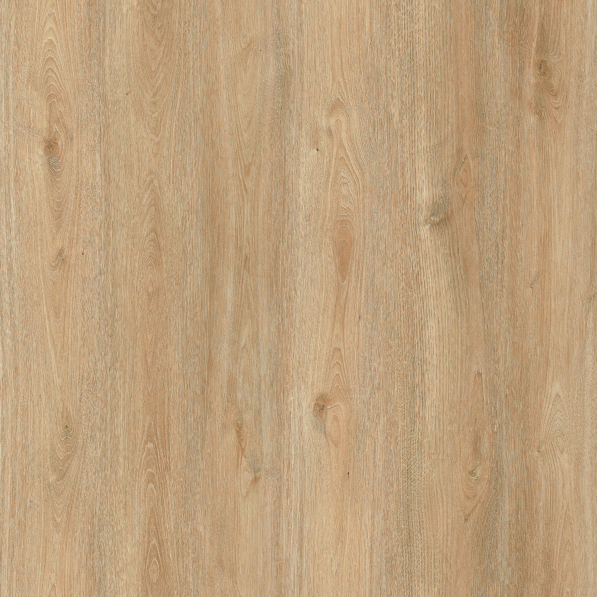 Sol stratifié effet bois chêne clair beige - 8203 - 20x122cm