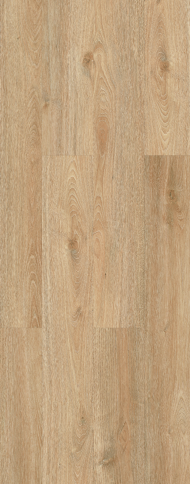 Sol stratifié effet bois chêne clair beige - 8203 - 20x122cm
